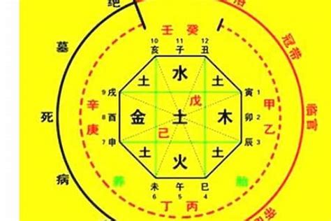 八字天醫|八字神煞解析——天醫貴人